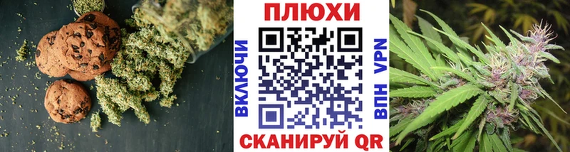 хочу наркоту  Электрогорск  Cannafood конопля 