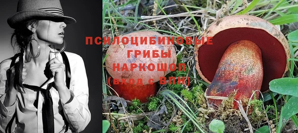 гашик Алзамай