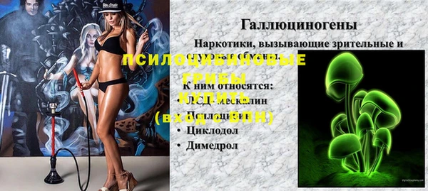 гашик Алзамай