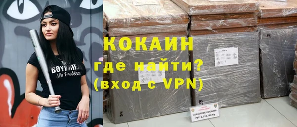 гашик Алзамай