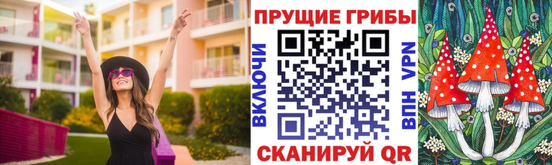 сколько стоит  Электрогорск  MEGA онион  Галлюциногенные грибы прущие грибы 