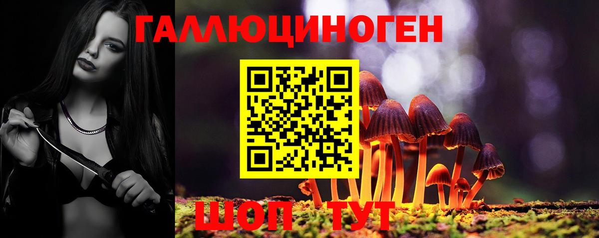 Галлюциногенные грибы Magic Shrooms  Вход с VPN  купить закладку  Галлюциногенные грибы Magic Shrooms  Электрогорск 